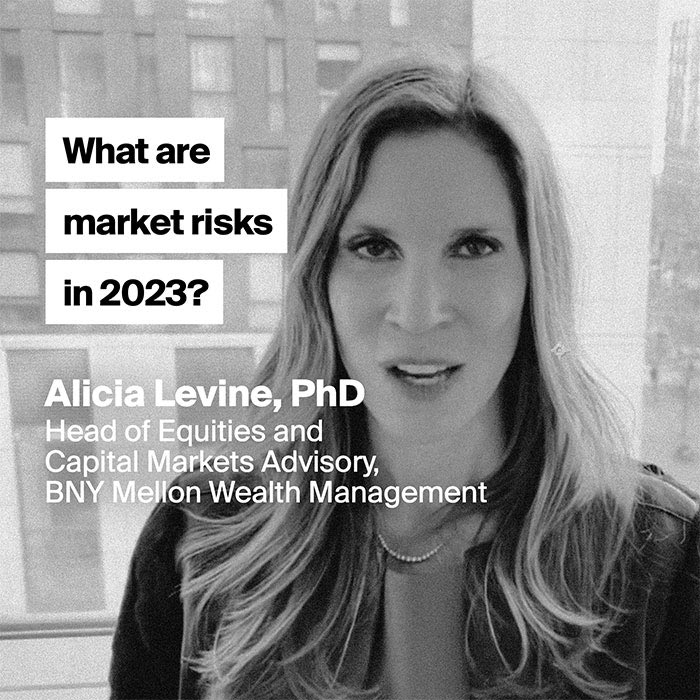 Alicia-Levine-Q2-1X1-v2 Risks 2023