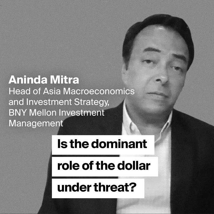 Aninda Mitra - dollar