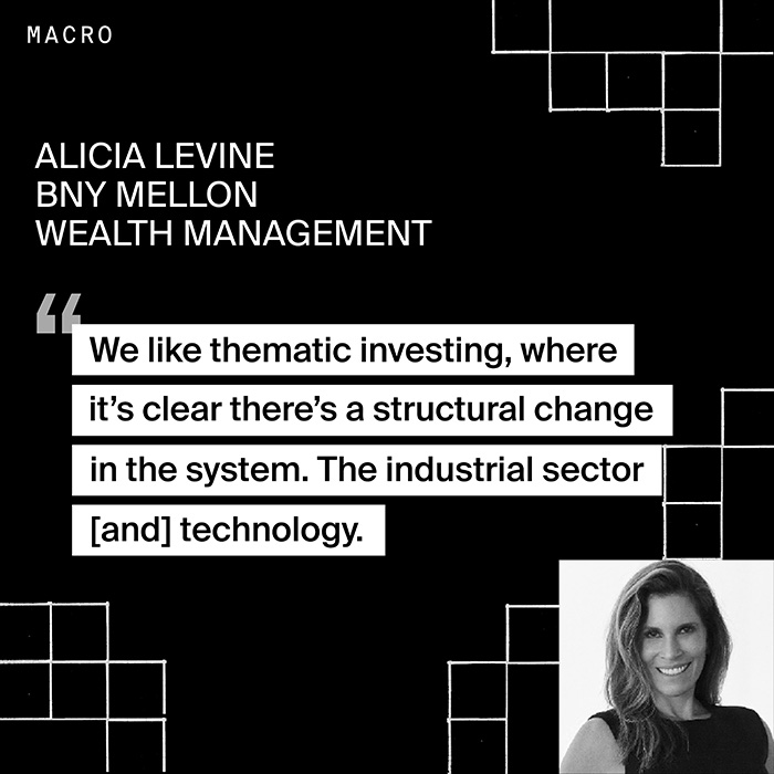 Alicia Levine - We like thematic investing
