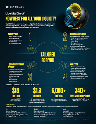 Liquidity Direct (at a glance) document cover