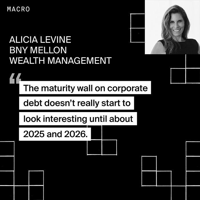 Alicia Levine - U.S. households and corporates